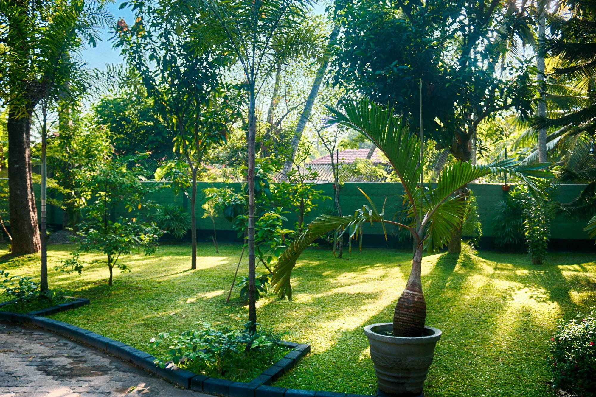 West Dene Bed and Breakfast Νεγκόμπο Εξωτερικό φωτογραφία